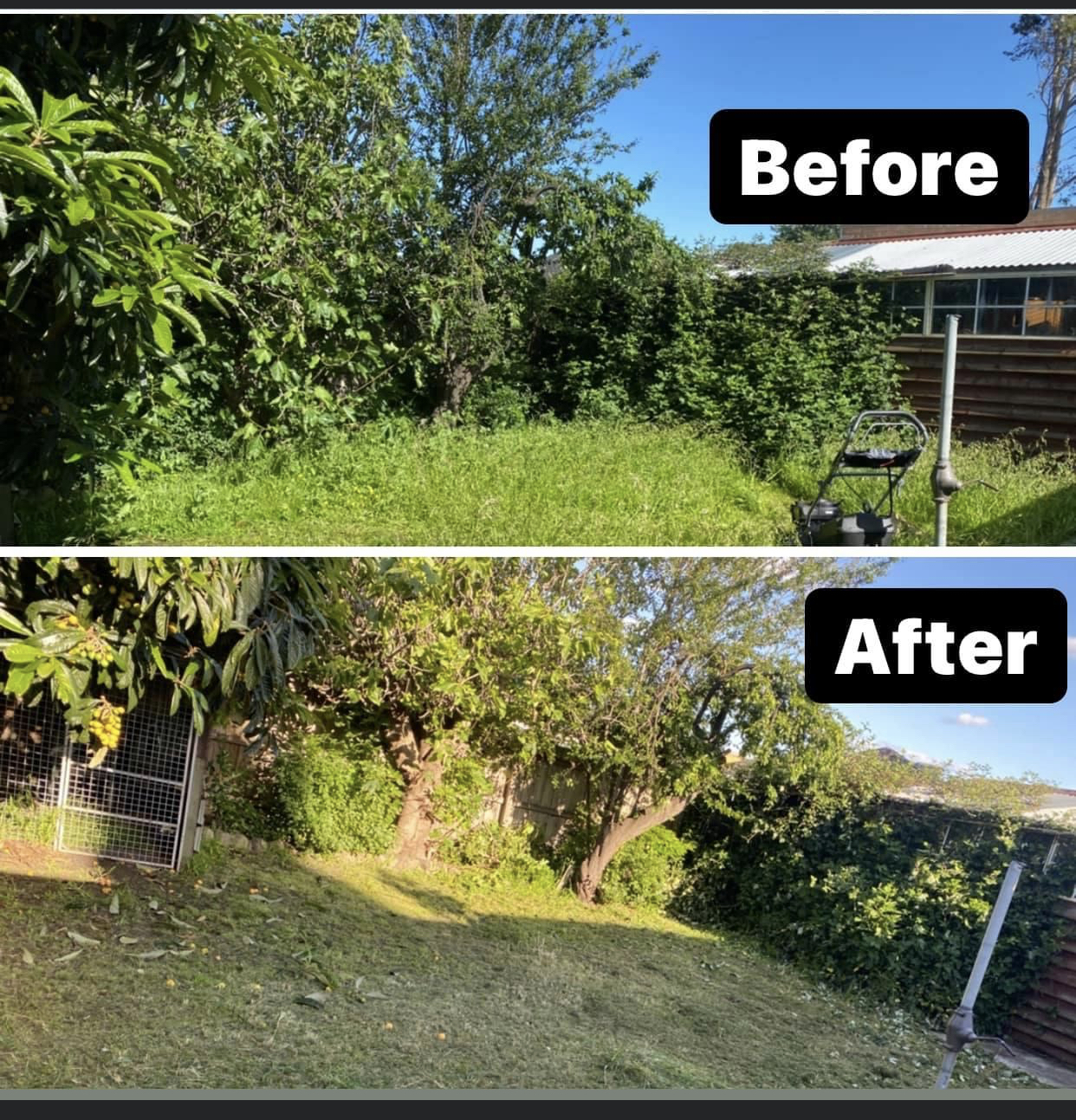 Before and after overgrown garden cleanup by Starsnation Services Australia in Melbourne